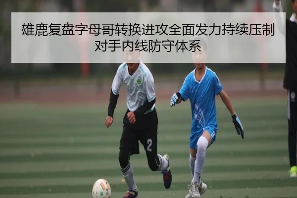 雄鹿复盘字母哥转换进攻全面发力持续压制对手内线防守体系